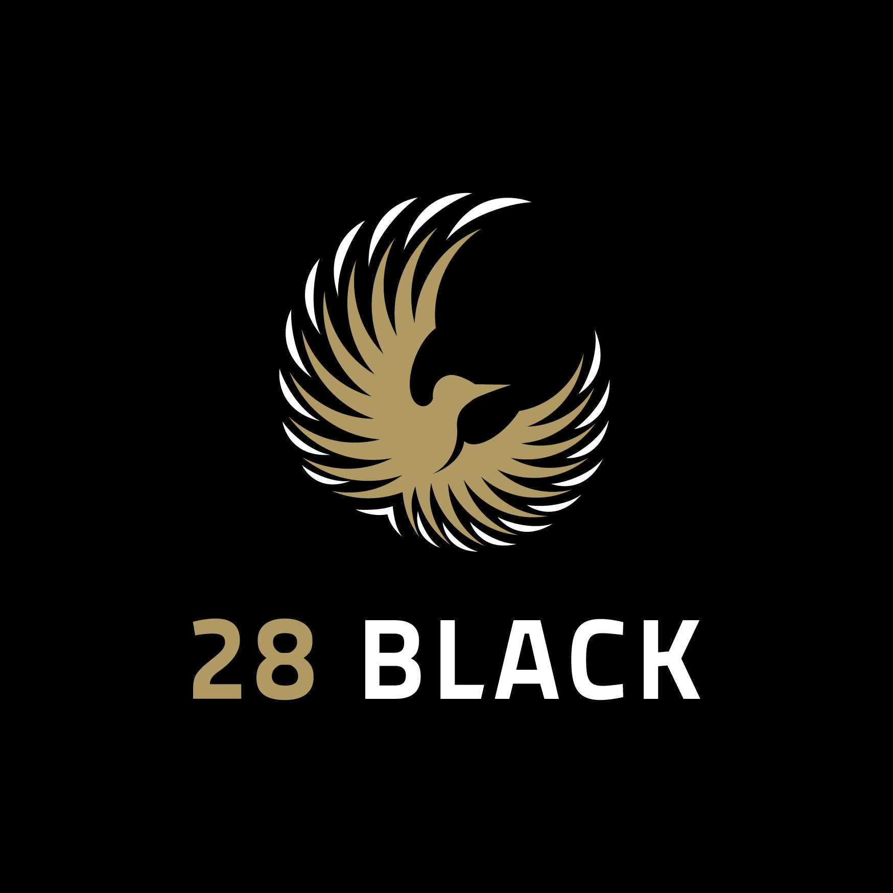 Dein BLACK WEEK Geschenk