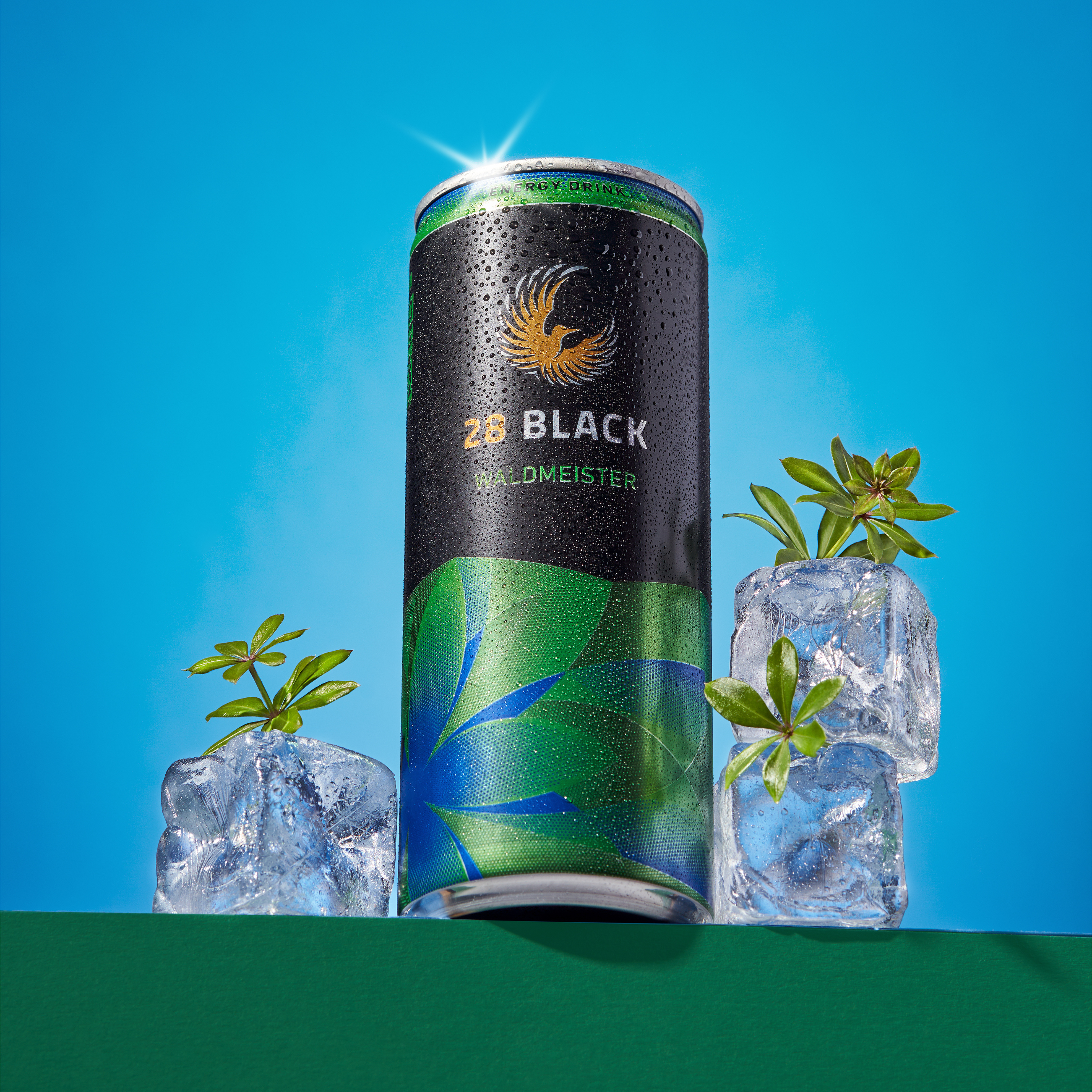 28 BLACK Waldmeister 24 x 0,25l