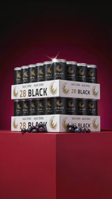 28 Bundle: 48 x 0,25l 28 BLACK