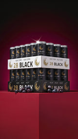 28 Bundle: 48 x 0,25l 28 BLACK